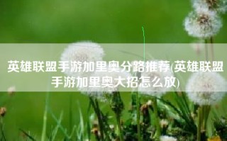英雄联盟手游加里奥分路推荐(英雄联盟手游加里奥大招怎么放)