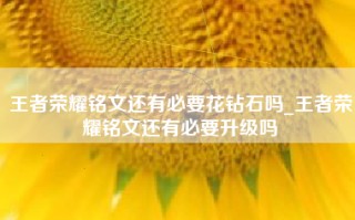 王者荣耀铭文还有必要花钻石吗_王者荣耀铭文还有必要升级吗