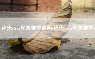 迷失stray配置要求高吗(迷失stray配置要求)