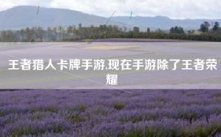 王者猎人卡牌手游,现在手游除了王者荣耀