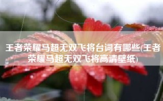 王者荣耀马超无双飞将台词有哪些(王者荣耀马超无双飞将高清壁纸)