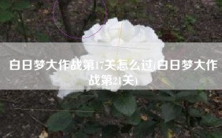 白日梦大作战第17关怎么过(白日梦大作战第21关)