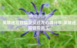 英雄迷宫冒险贝贝过龙心得分享(英雄迷宫冒险员工)