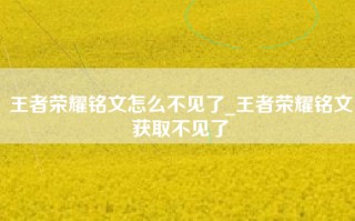 王者荣耀铭文怎么不见了_王者荣耀铭文获取不见了