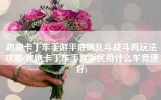 跑跑卡丁车手游平底锅乱斗战斗鸡玩法攻略(跑跑卡丁车手游平民用什么车竞速好)