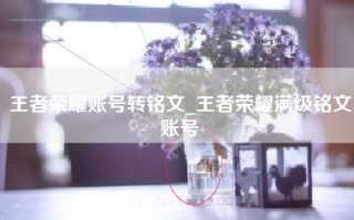 王者荣耀账号转铭文_王者荣耀满级铭文账号