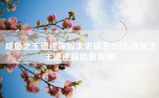 咸鱼之王遗迹探险太史慈怎么过(咸鱼之王遗迹探险夏侯渊)