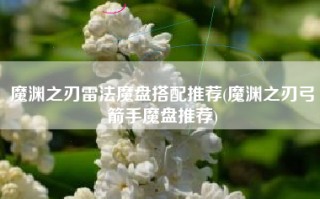 魔渊之刃雷法魔盘搭配推荐(魔渊之刃弓箭手魔盘推荐)
