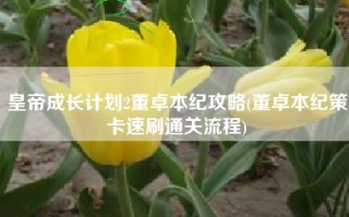 皇帝成长计划2董卓本纪攻略(董卓本纪策卡速刷通关流程)