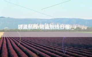 碧蓝航线(碧蓝航线日服)_3