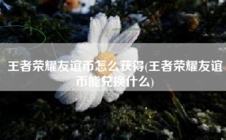 王者荣耀友谊币怎么获得(王者荣耀友谊币能兑换什么)