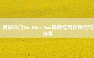 锈湖白门The White Door隐藏结局神秘代码分享