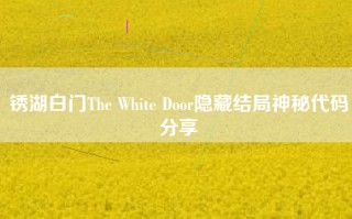 锈湖白门The White Door隐藏结局神秘代码分享