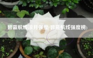 碧蓝航线凉月强度(碧蓝航线强度榜)