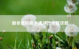 脚本塔防新手速冲三十层攻略