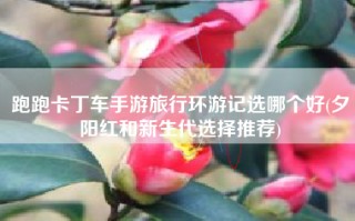 跑跑卡丁车手游旅行环游记选哪个好(夕阳红和新生代选择推荐)