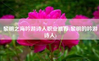 黎明之海吟游诗人职业推荐(黎明的吟游诗人)