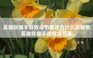 英雄联盟手游致命节奏适合什么英雄带(英雄联盟手游致命节奏)