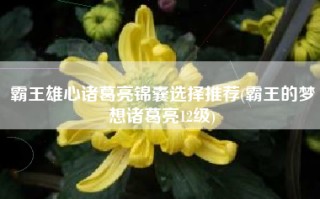 霸王雄心诸葛亮锦囊选择推荐(霸王的梦想诸葛亮12级)