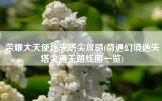 荣耀大天使迷失塔尖攻略(奇遇幻境迷失塔尖通关路线图一览)
