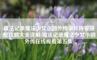 魔法记录魔法少女小圆外传平民阵容搭配攻略大全详解(魔法记录魔法少女小圆外传在线观看第五集)