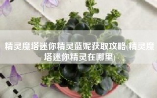 精灵魔塔迷你精灵蓝妮获取攻略(精灵魔塔迷你精灵在哪里)