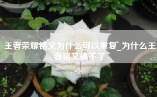 王者荣耀铭文为什么可以重复_为什么王者铭文换不了