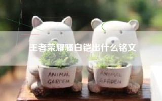 王者荣耀骚白铠出什么铭文
