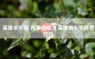英雄杀手游 真李自成,《英雄杀》手游费钱吗
