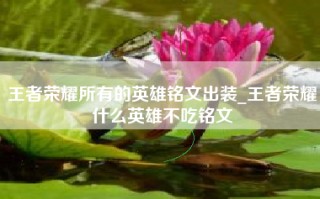 王者荣耀所有的英雄铭文出装_王者荣耀什么英雄不吃铭文