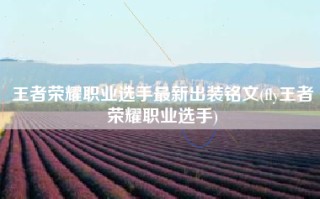 王者荣耀职业选手最新出装铭文(fly王者荣耀职业选手)