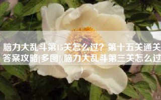 脑力大乱斗第15关怎么过？第十五关通关答案攻略[多图](脑力大乱斗第三关怎么过)