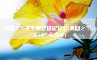 鸿图之下关羽阵容搭配攻略(鸿图之下sp关羽阵容搭配)