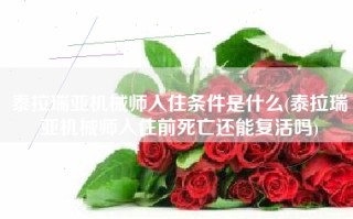 泰拉瑞亚机械师入住条件是什么(泰拉瑞亚机械师入住前死亡还能复活吗)