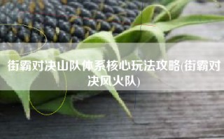 街霸对决山队体系核心玩法攻略(街霸对决风火队)