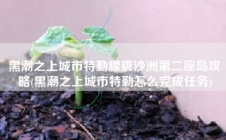 黑潮之上城市特勤朦胧沙洲第二座岛攻略(黑潮之上城市特勤怎么完成任务)