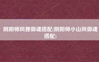 阴阳师风狸御魂搭配(阴阳师小山风御魂搭配)