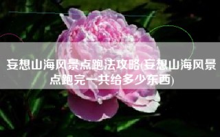 妄想山海风景点跑法攻略(妄想山海风景点跑完一共给多少东西)