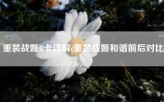 重装战姬R卡详解(重装战姬和谐前后对比)
