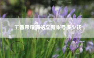 王者荣耀满铭文新帐号多少钱