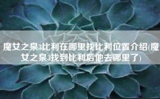 魔女之泉3比利在哪里找比利位置介绍(魔女之泉3找到比利后他去哪里了)