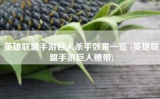 英雄联盟手游巨人杀手效果一览 (英雄联盟手游巨人腰带)