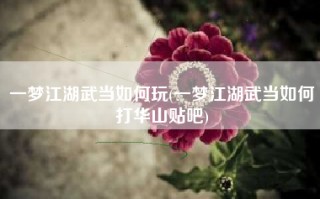 一梦江湖武当如何玩(一梦江湖武当如何打华山贴吧)