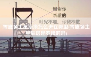 雪鹰领主星辰塔怎么进在哪里(雪鹰领主星辰塔是罗峰的吗)