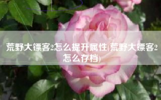 荒野大镖客2怎么提升属性(荒野大镖客2怎么存档)