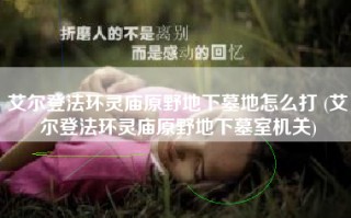艾尔登法环灵庙原野地下墓地怎么打 (艾尔登法环灵庙原野地下墓室机关)