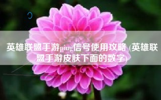 英雄联盟手游ping信号使用攻略 (英雄联盟手游皮肤下面的数字)
