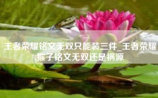 王者荣耀铭文无双只能装三件_王者荣耀猴子铭文无双还是祸源