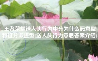 王者荣耀送人头行为中分为什么恶意型和过分激进型(送人头行为意思答案介绍)