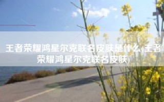 王者荣耀鸿星尔克联名皮肤是什么(王者荣耀鸿星尔克联名皮肤)